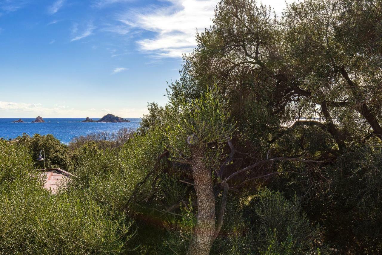 Casa Olivastro Vista Mare Lejlighed Santa Maria Navarrese Eksteriør billede